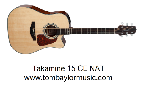 Takamine GD15 CE