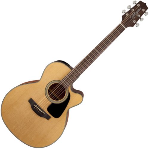 Takamine GD10 CE