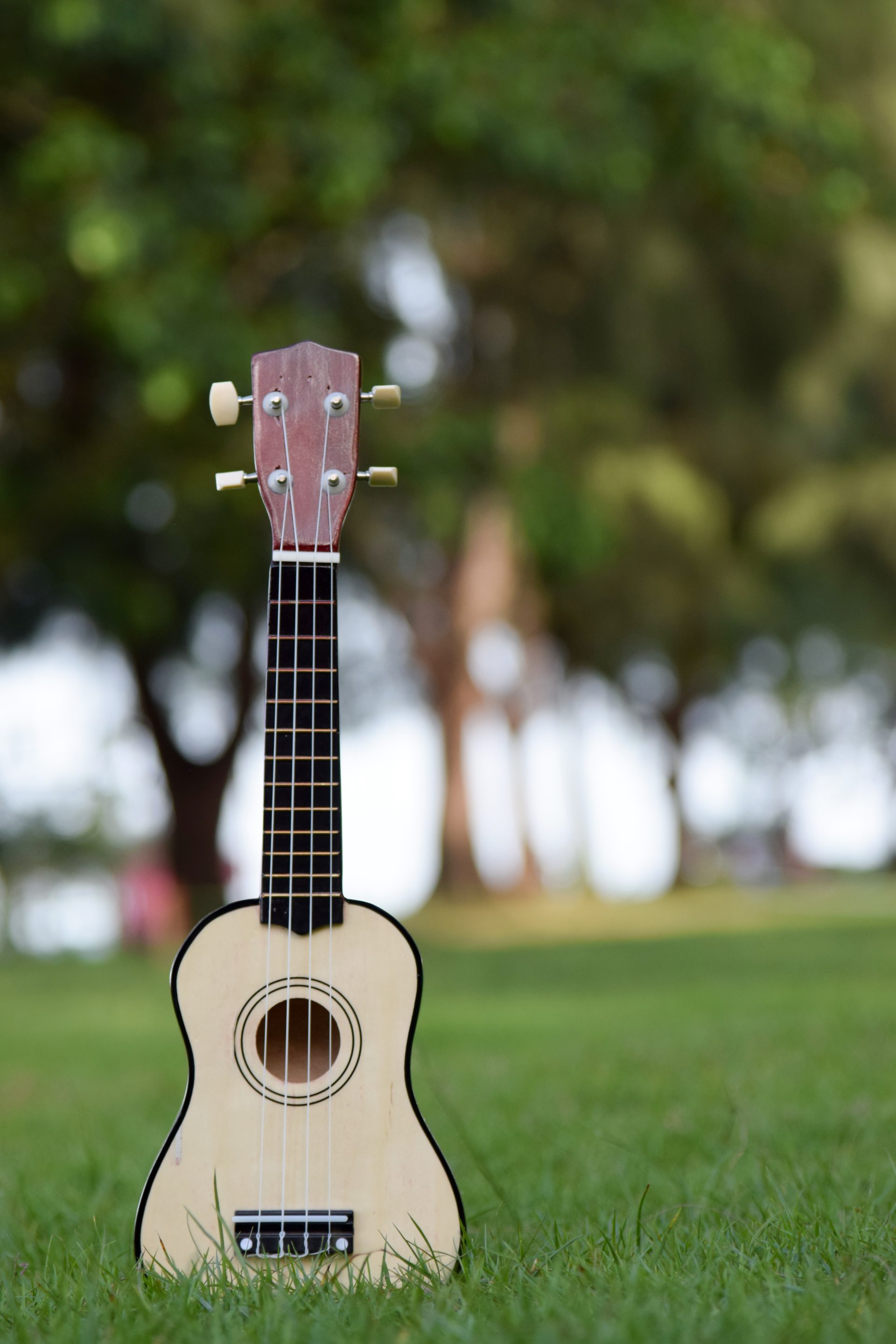 Ukuleles