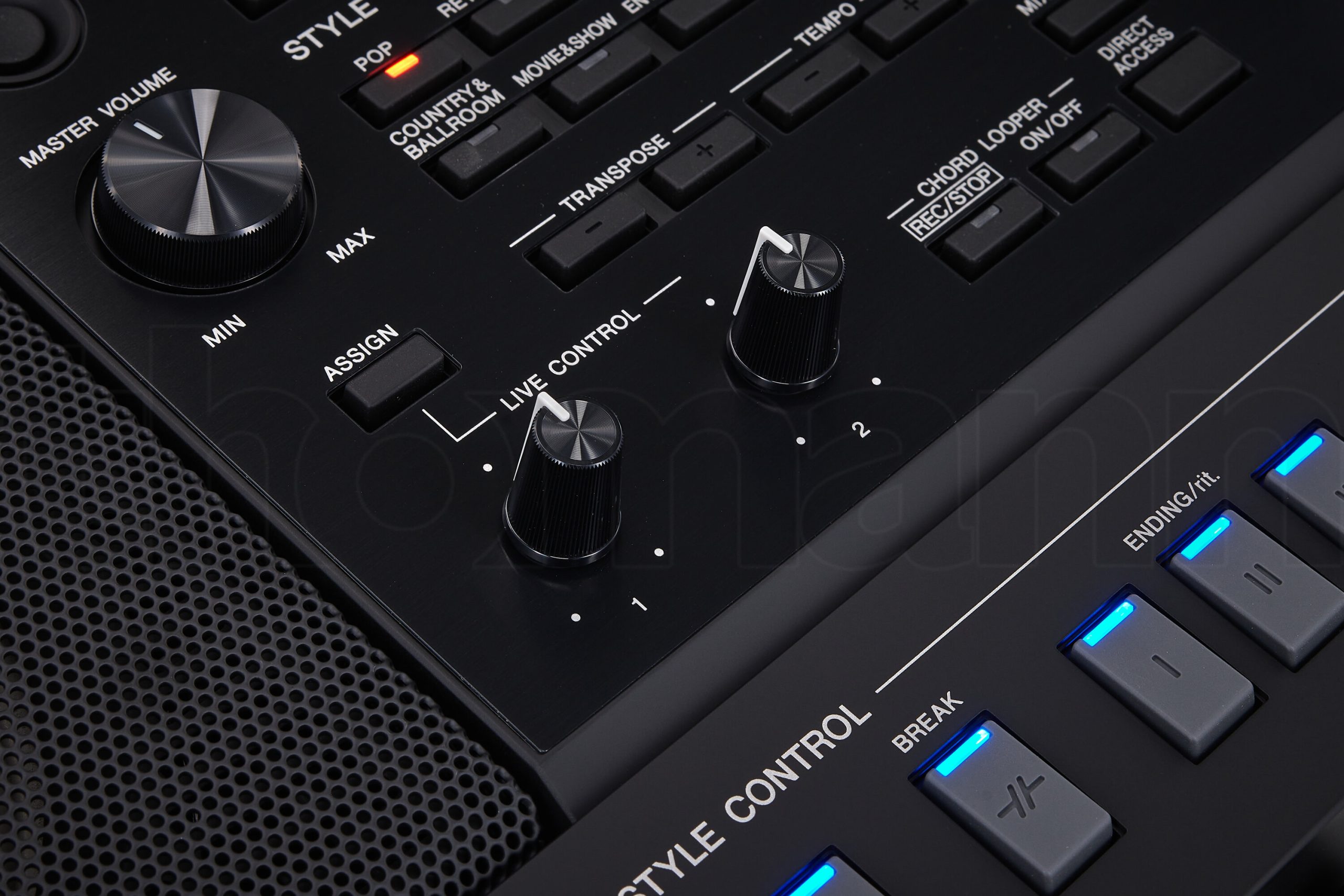 Yamaha PSR-SX920 - Image 4